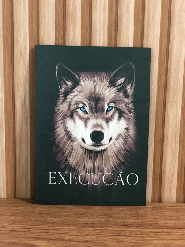 QUADRO LOBO - EXECUÇÃO E DETERMINAÇÃO